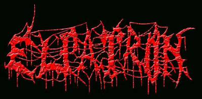 logo El Patron (KOR)